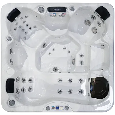 Avalon EC-849L hot tubs for sale in Green Bay